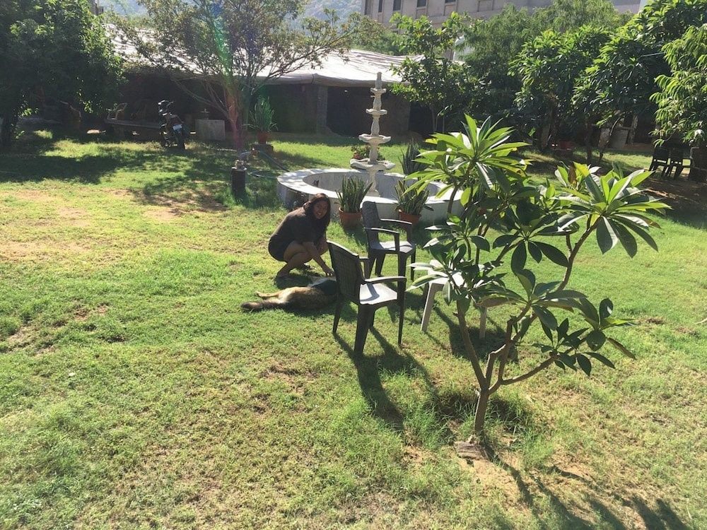 undefined Goroomgo Singh Villa Ajmer 2