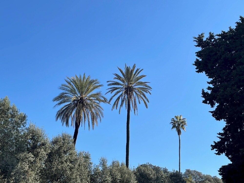 Rm-h501-gpsc20c2 Colosseo Gardens - C3 Apartment 24