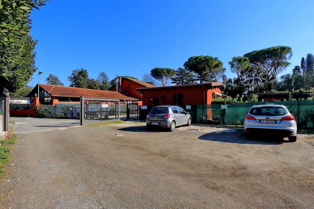 undefined Antico Platano 6