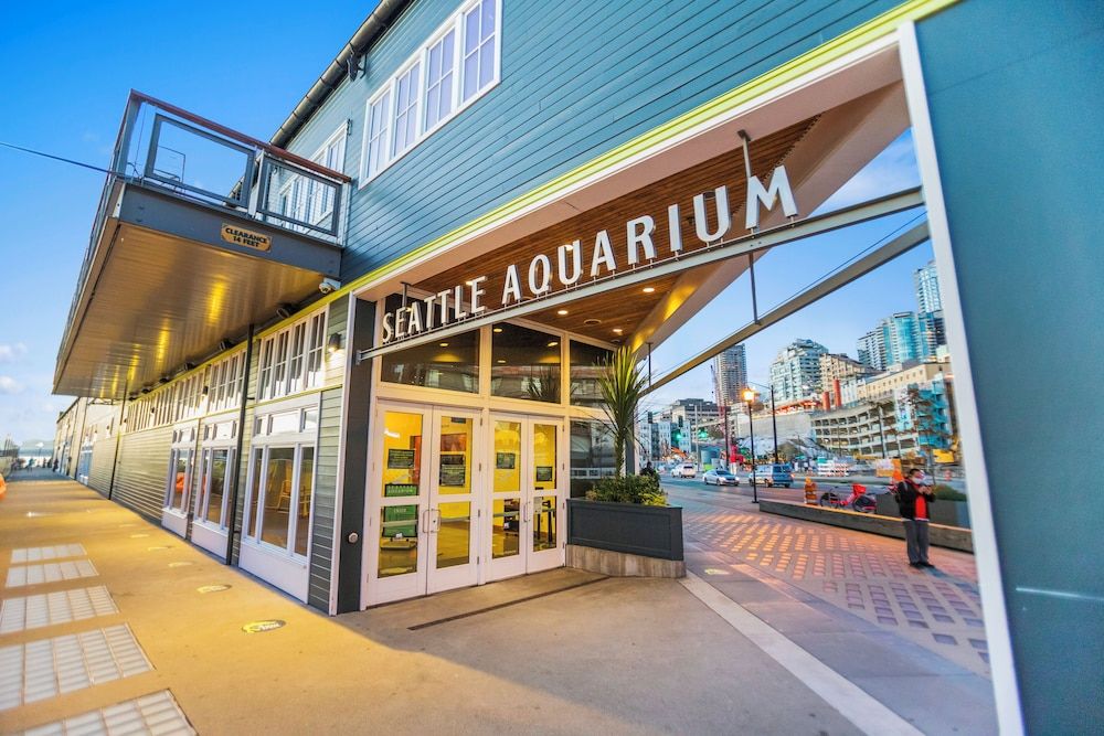 undefined Belltown Perch explore like a local 8