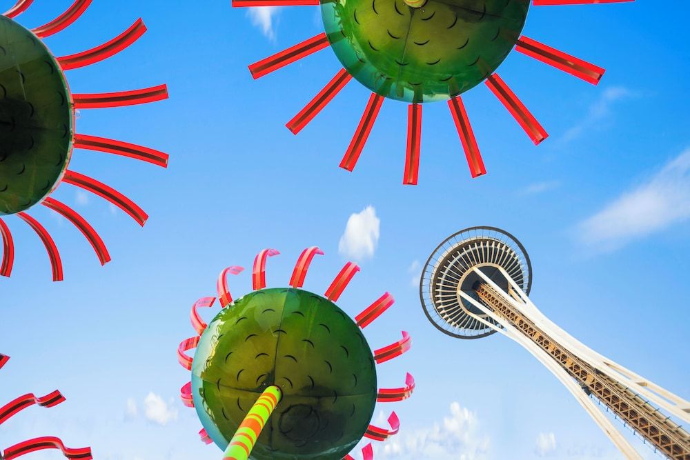 undefined Belltown Perch explore like a local 6