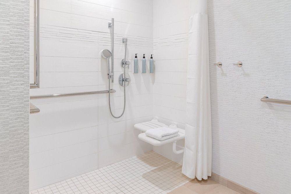 Suite, 1 King Bed with Sofa bed, Non Smoking (Mobility Accessible, Roll-in Shower)