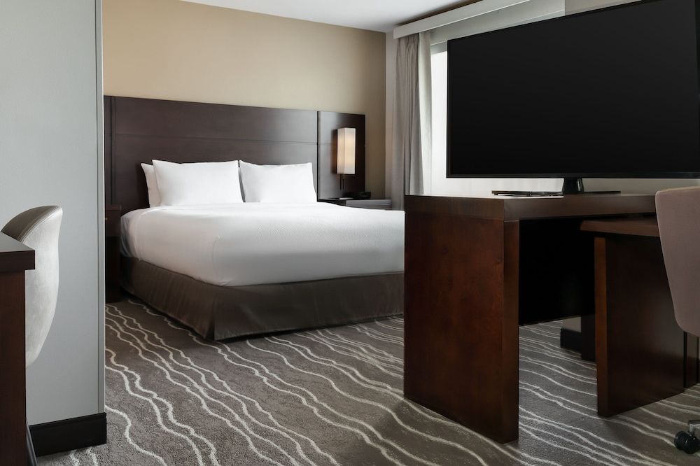 Studio Suite, 1 King Bed with Sofa bed, Non Smoking (Mobility Accessible, Tub)