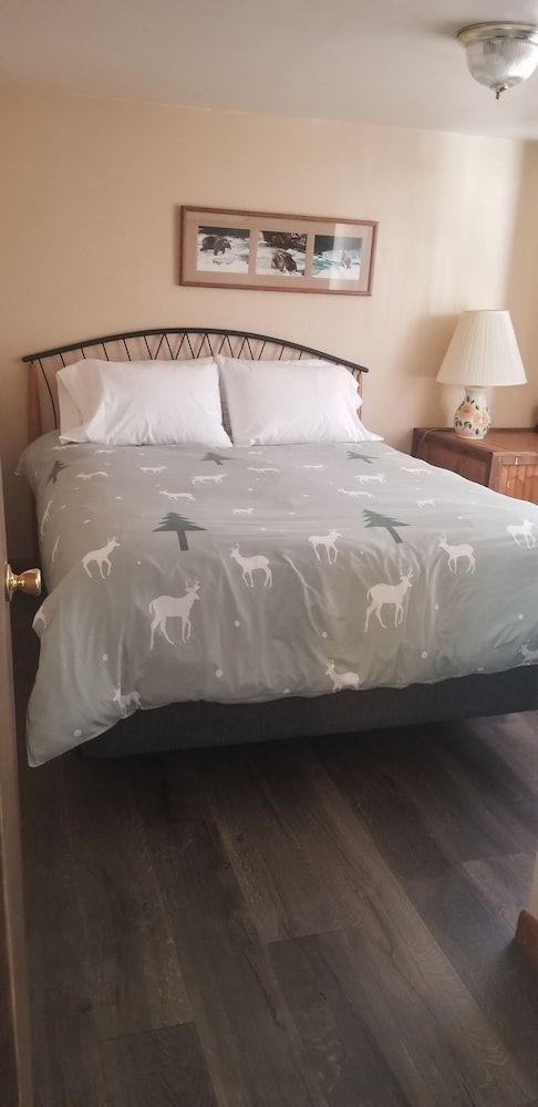 Columbine Cabins Deluxe Cabin Suite