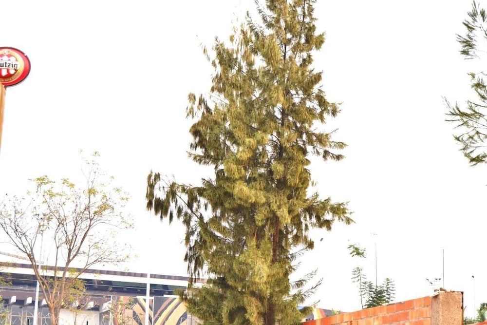 undefined Martin Aviator Hotel 7