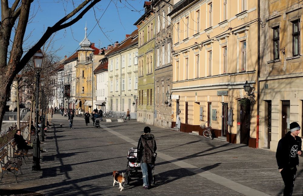 undefined Teddy Bear Apartment 10