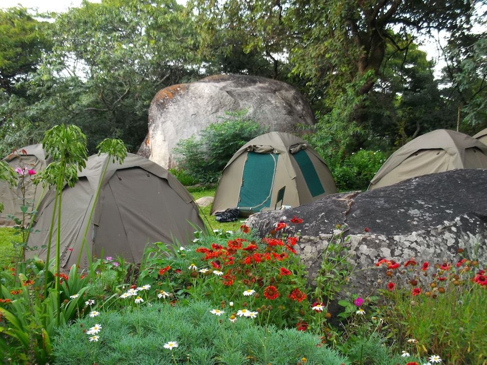 Tent (Campsite. No bed provided. Bring tent)