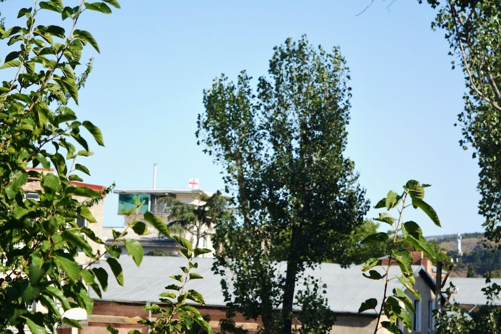 Apartment on Kotetishvili 3 apt 3 Apartment 19