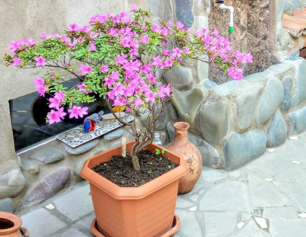 undefined Apartment on Atskuri Str 5