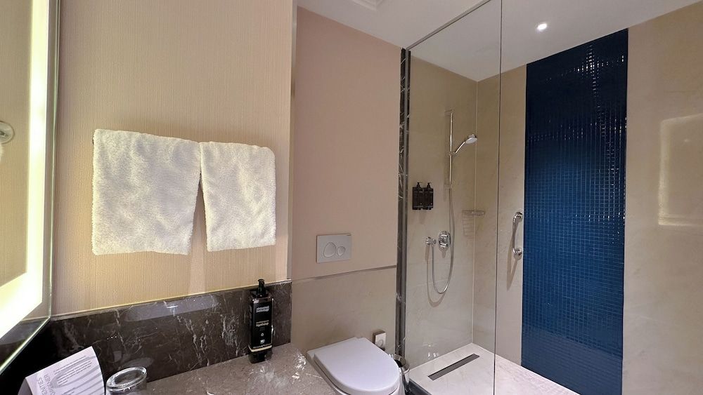 Tbilisi Philharmonic Hotel by Mercure Classic Room, 1 Double Bed 7