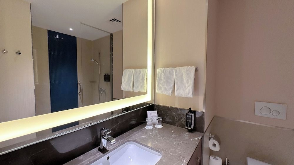 Tbilisi Philharmonic Hotel by Mercure Classic Room, 1 Double Bed 6