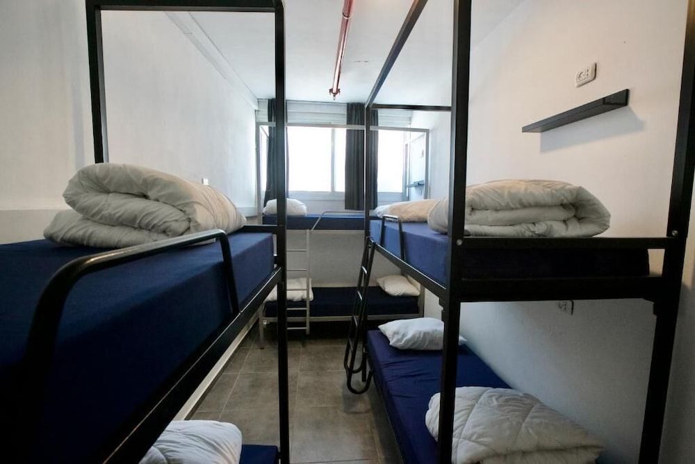 undefined Jungle Jaffa Hostel Age 18 to 45 7