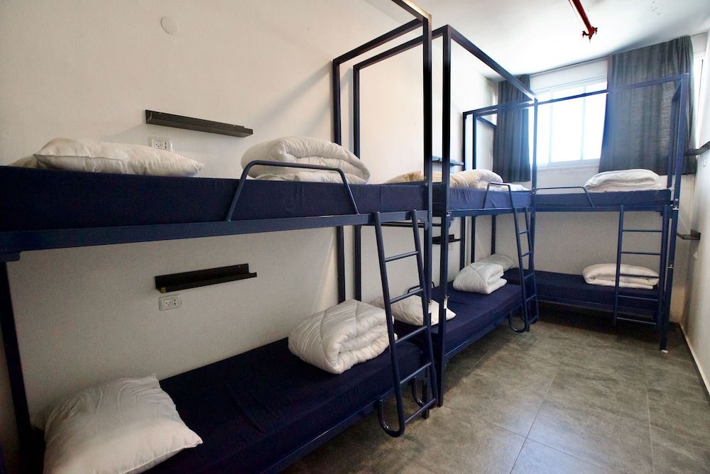 undefined Jungle Jaffa Hostel Age 18 to 45 2