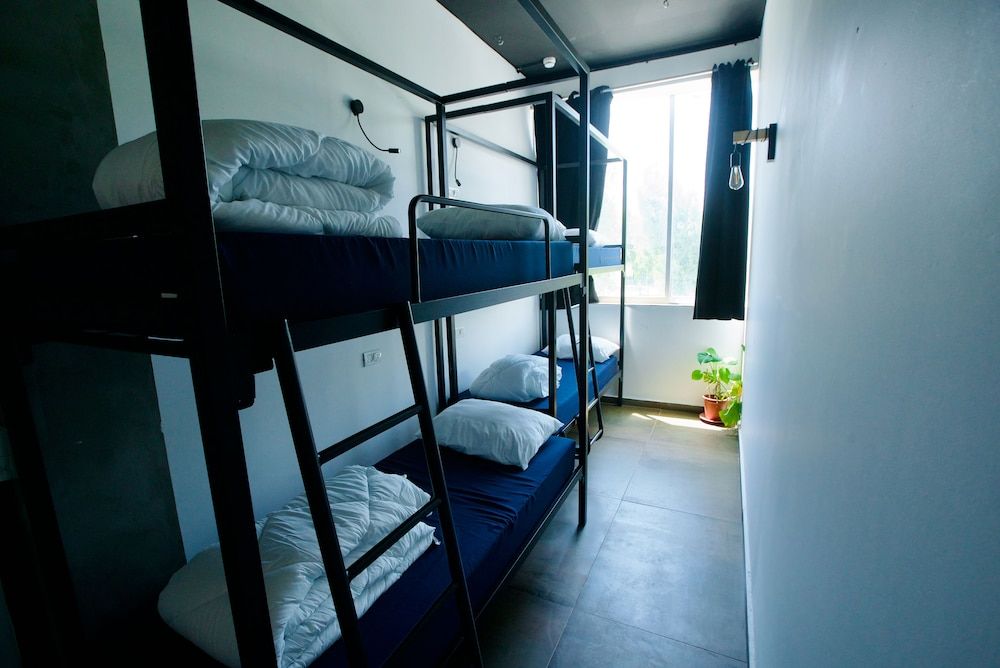undefined Jungle Jaffa Hostel Age 18 to 45 3