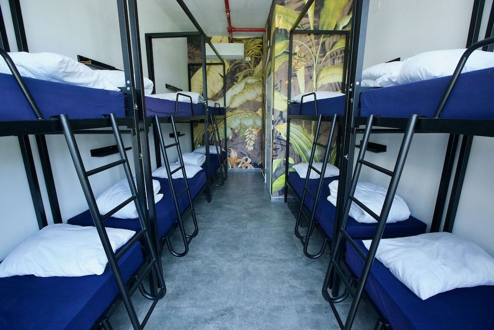 undefined Jungle Jaffa Hostel Age 18 to 45