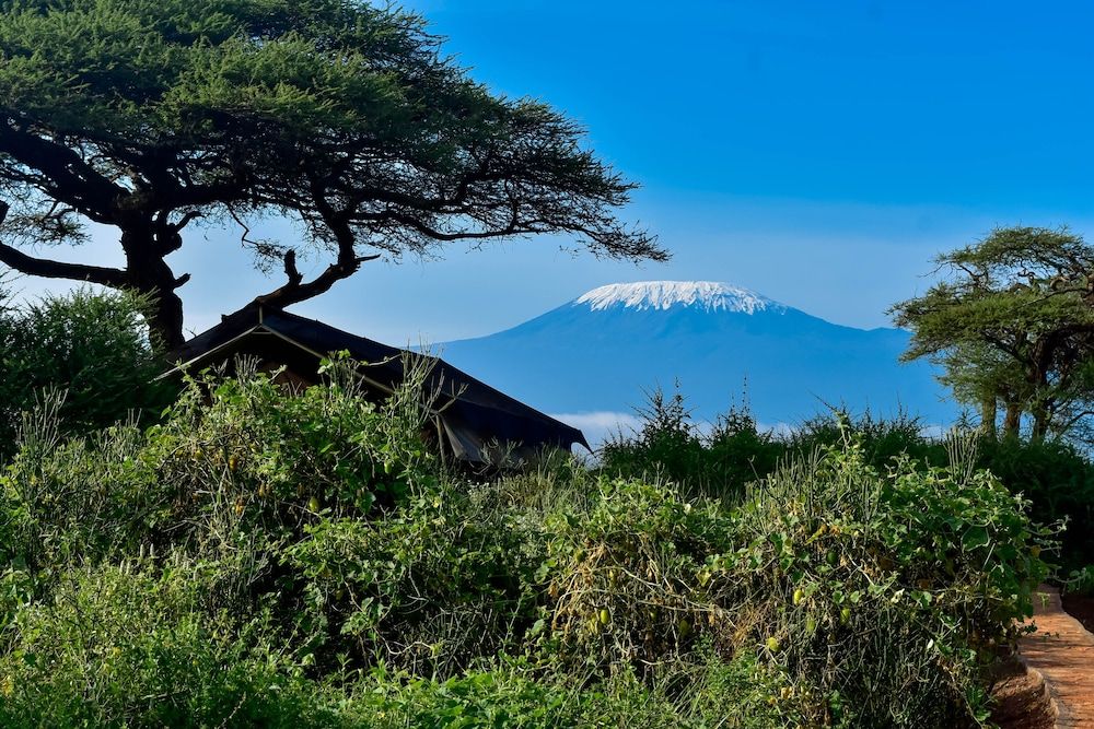 Tulia Amboseli Safari Camp Standard Tent 4