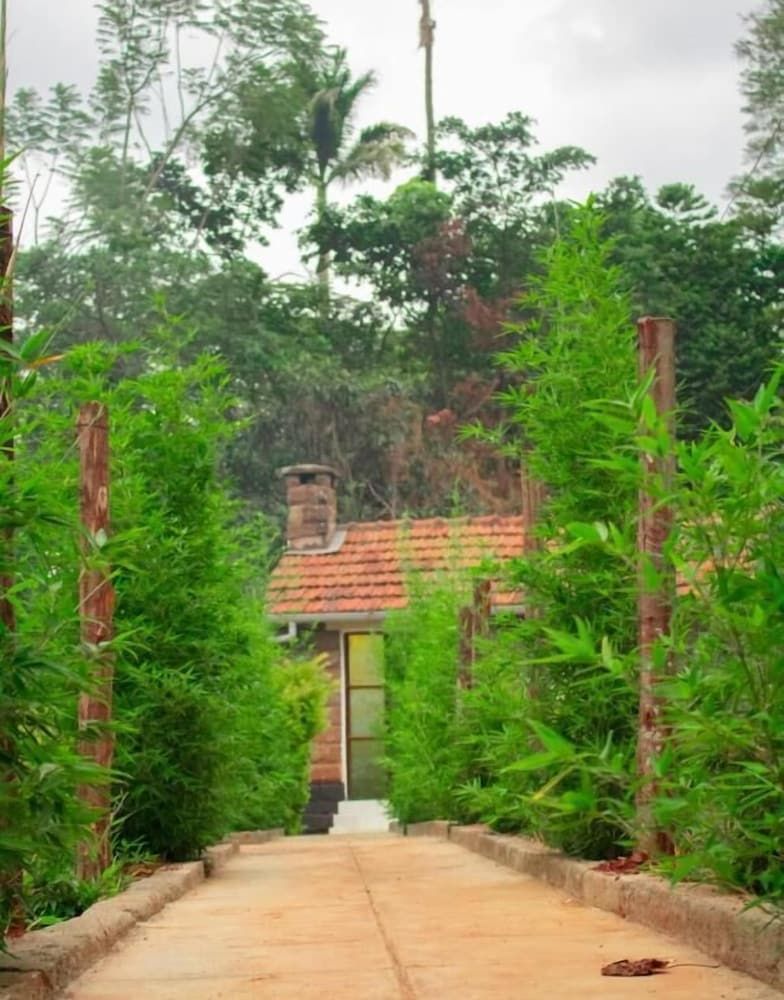 undefined Celio Jardine Lavington 10