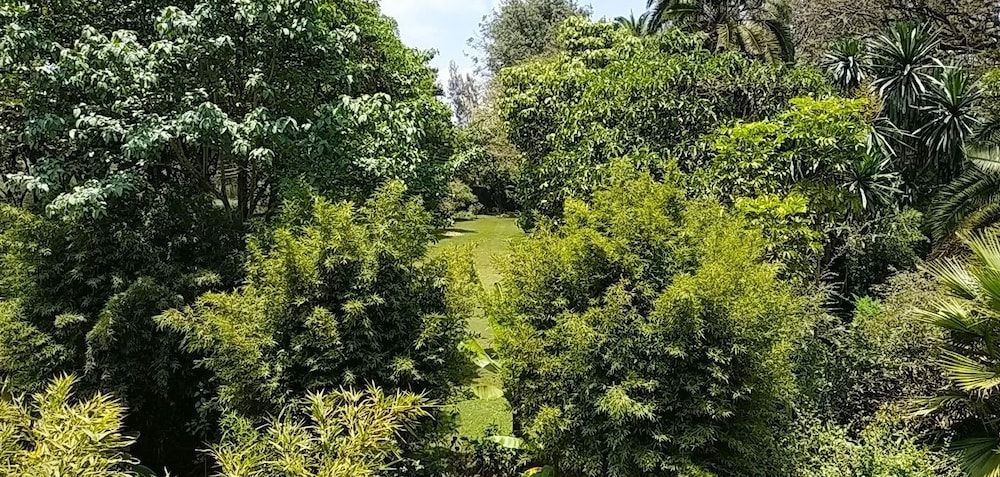 Zereniti House Deluxe Duplex, 1 Queen Bed, Balcony, Garden View 10