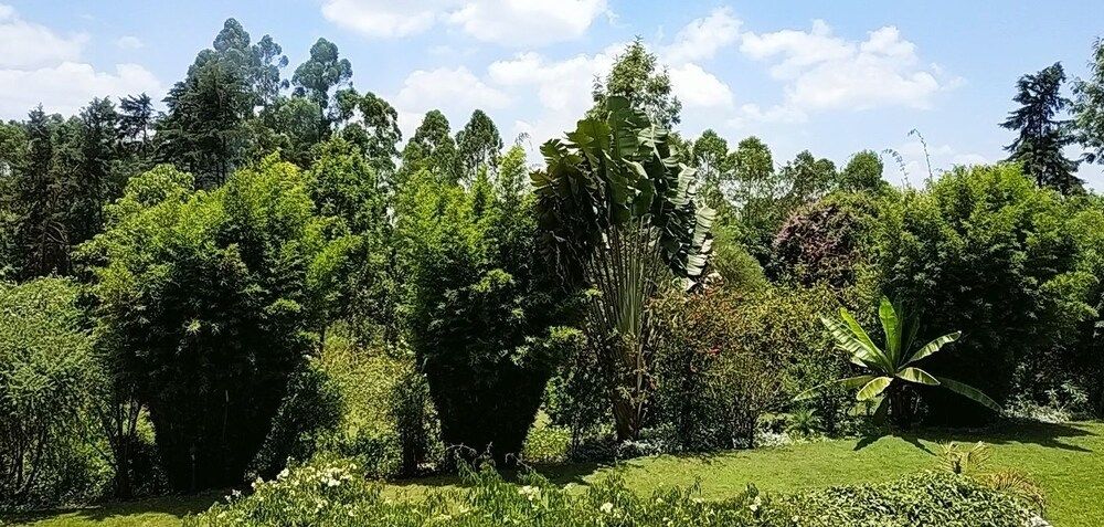 Zereniti House Junior Suite, 1 Queen Bed, Balcony, Garden View 9