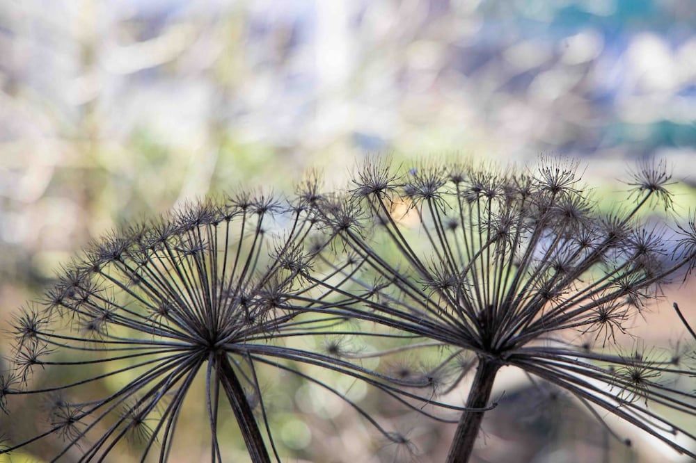 undefined MyCityLofts - Oostzeedijk