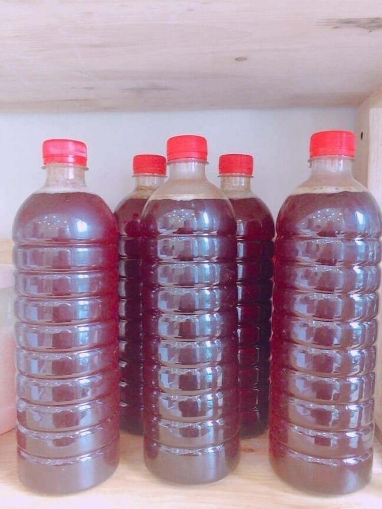 undefined Khach san Phuong Nguyen 4