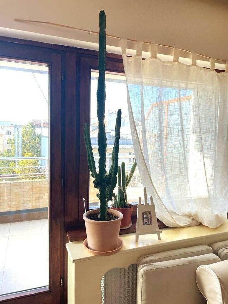 Vienna Christmas Market Rooftop Dollhouse 4 Couple Apartment 20