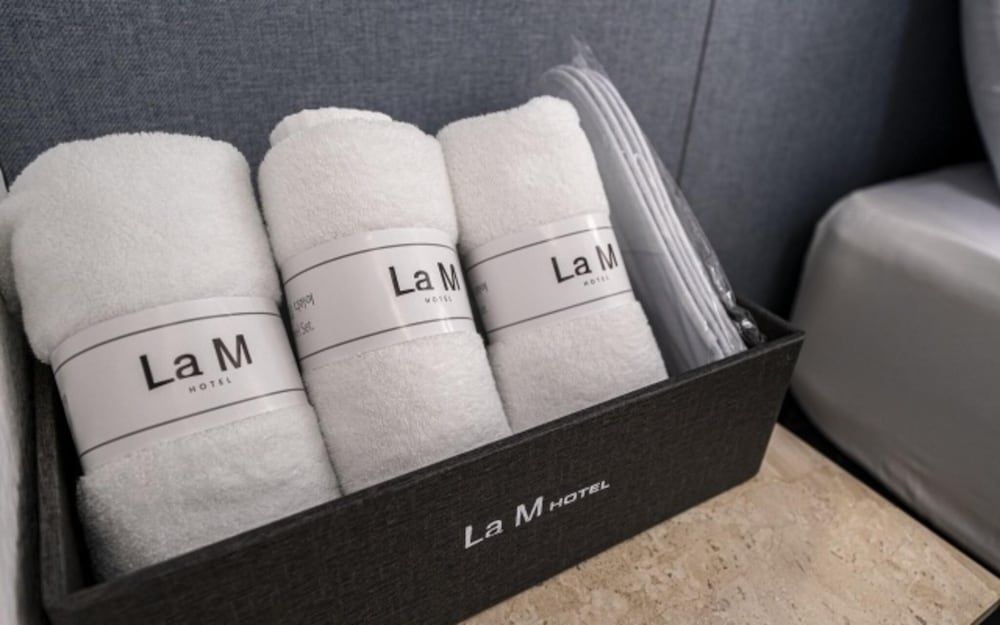 Samsung LaM Room (Standard Room (personal account Netfl) 10