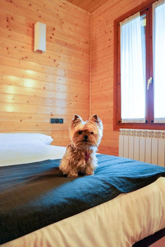 Hotel Alda Palas de Rei