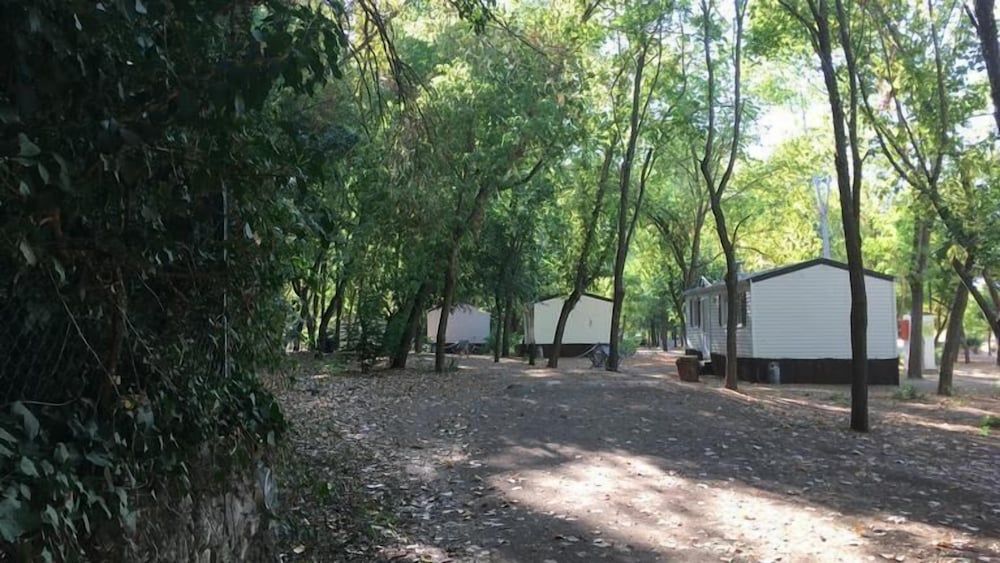 Mobile Home (5)