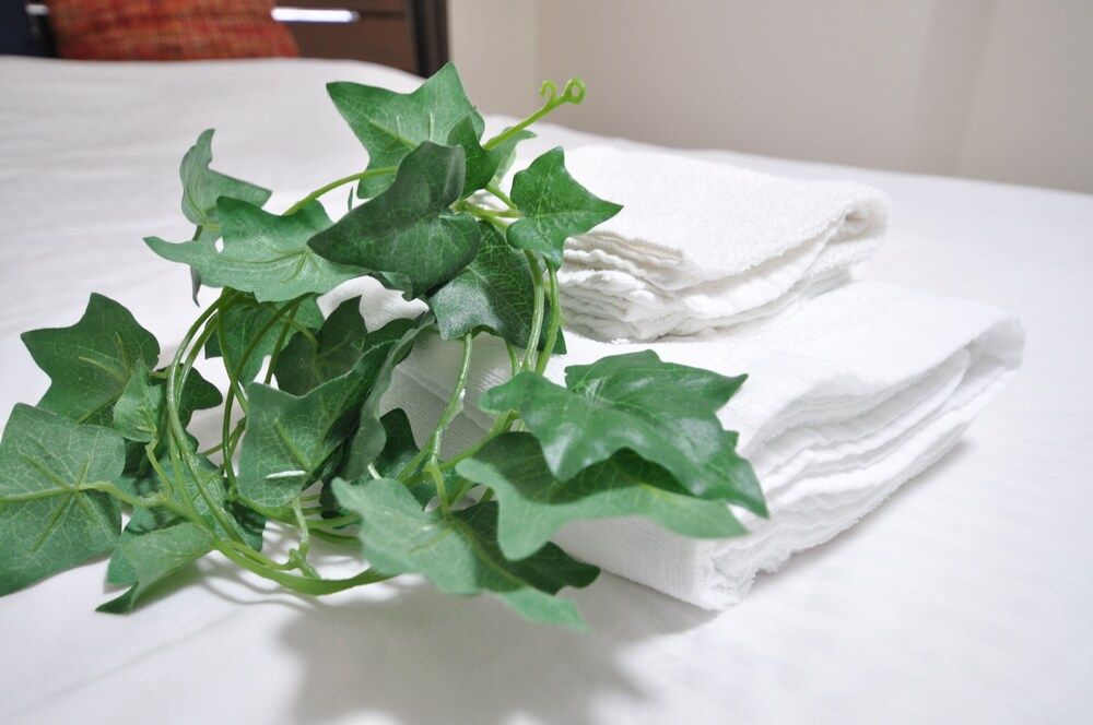 undefined AMS Hiragishi 11 403 5