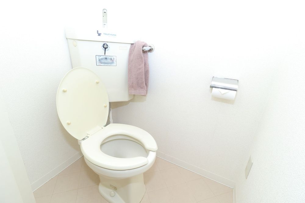 Heights Showa 202 Apartment (202) 11