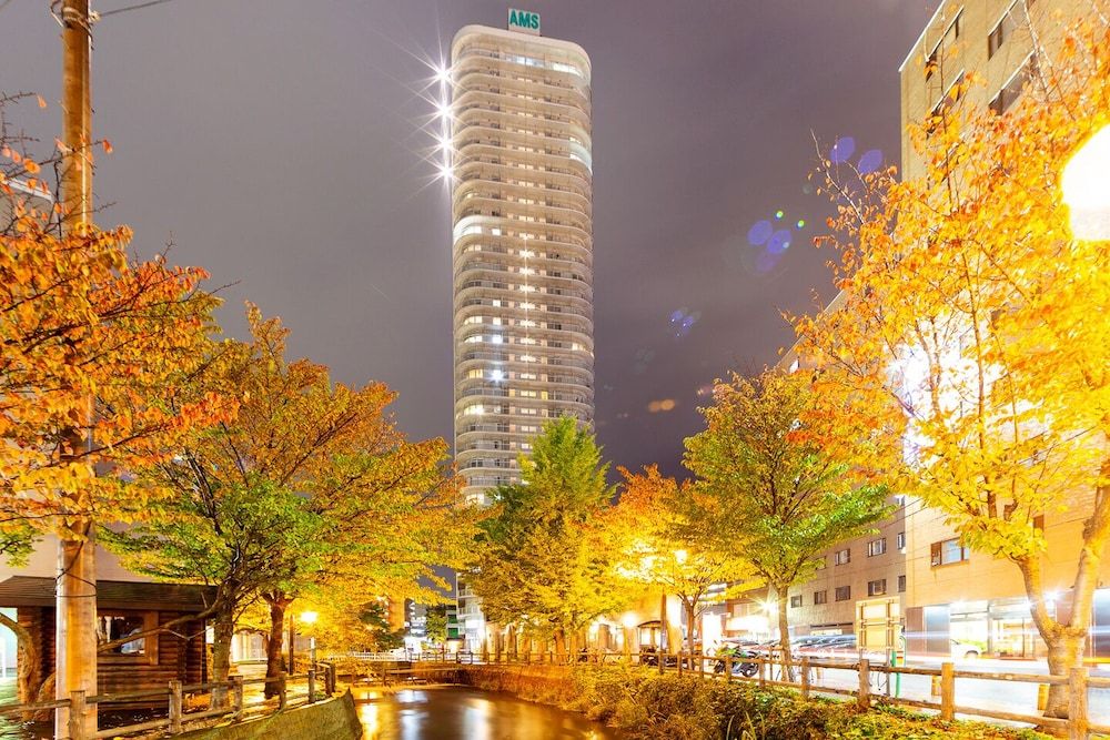 undefined PRIMA 805 3