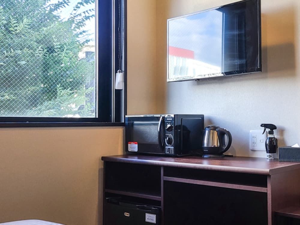 TENNEN-ONSEN HOTEL LiVEMAX PREMIUM Nagano-ekimae Single Room, Smoking 4