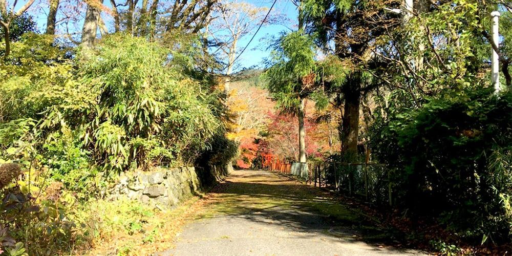 undefined YUPOPPO Hakone 8