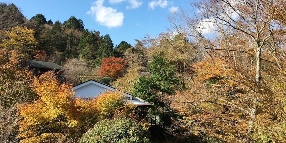 undefined YUPOPPO Hakone 4