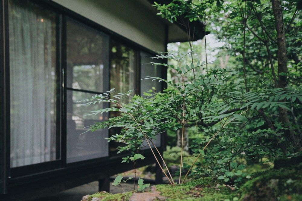 undefined Hakone Man Rai Private Villa & Garden 2