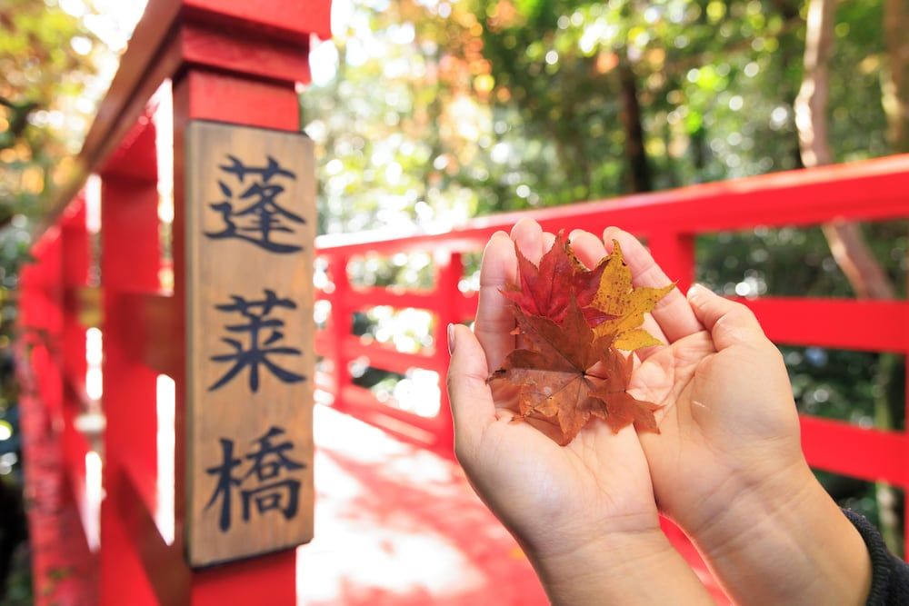 undefined Hakone Kowakien 6