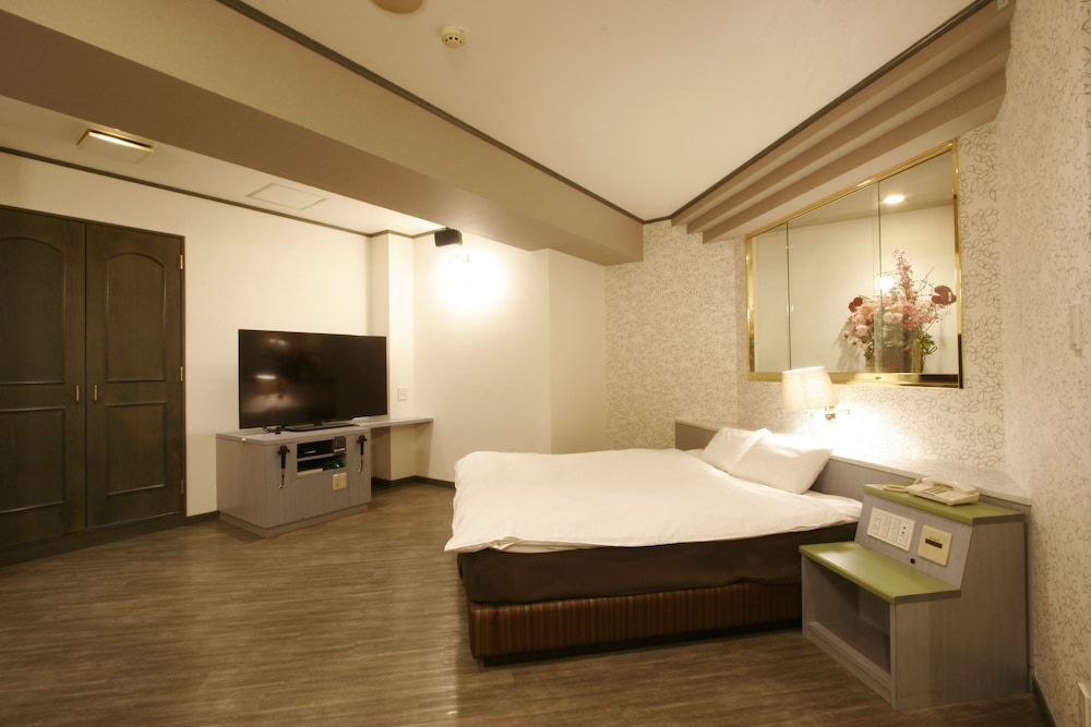 Business Double Room Single Use (B1)