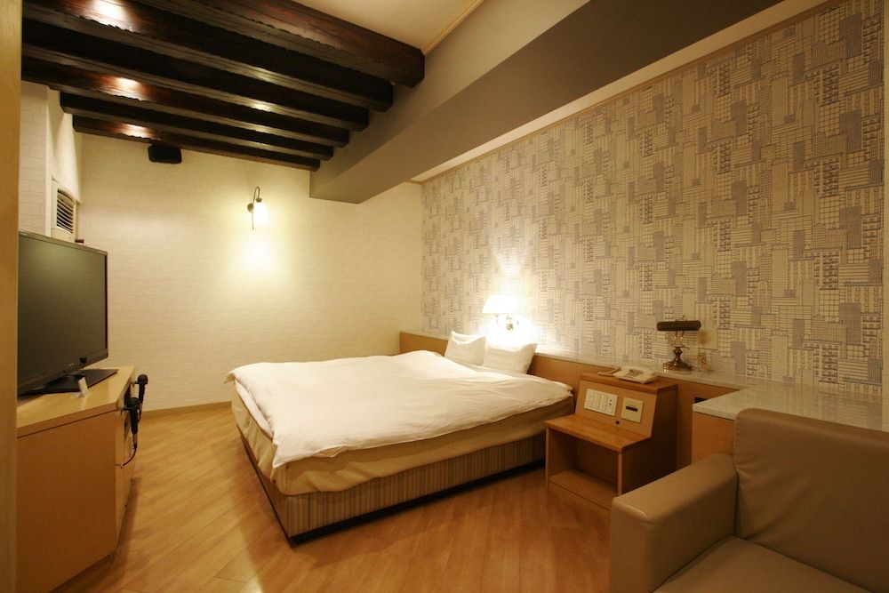Business Double Room Single Use (B2)
