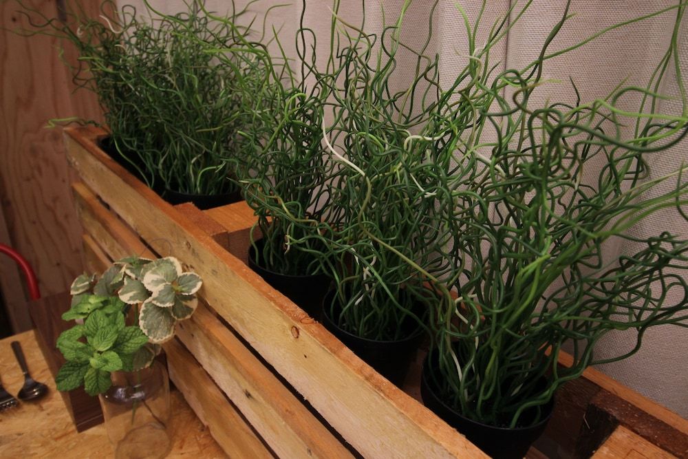 undefined Screamer 2 10