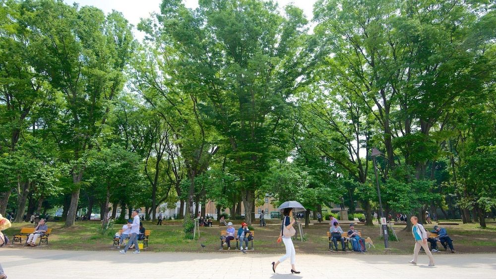 undefined Screamer 2