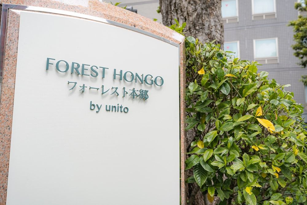 undefined FOREST HONGO BY UNITO 5