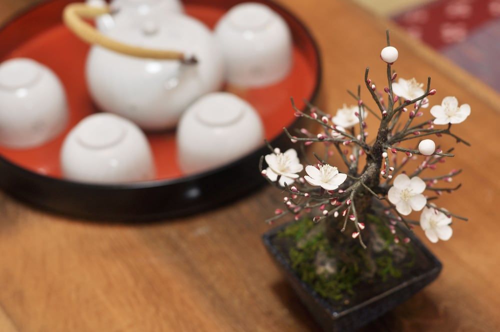 undefined Shirakabanoyado-fuka 6