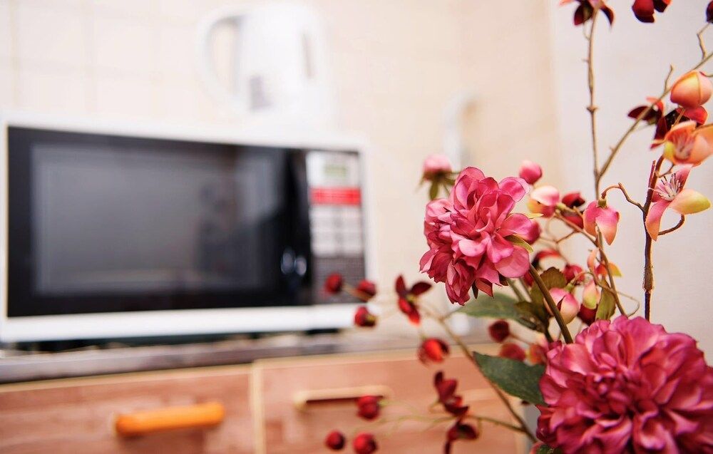 Namba Sunshine Apartment Japanese Style Double Room 43 9