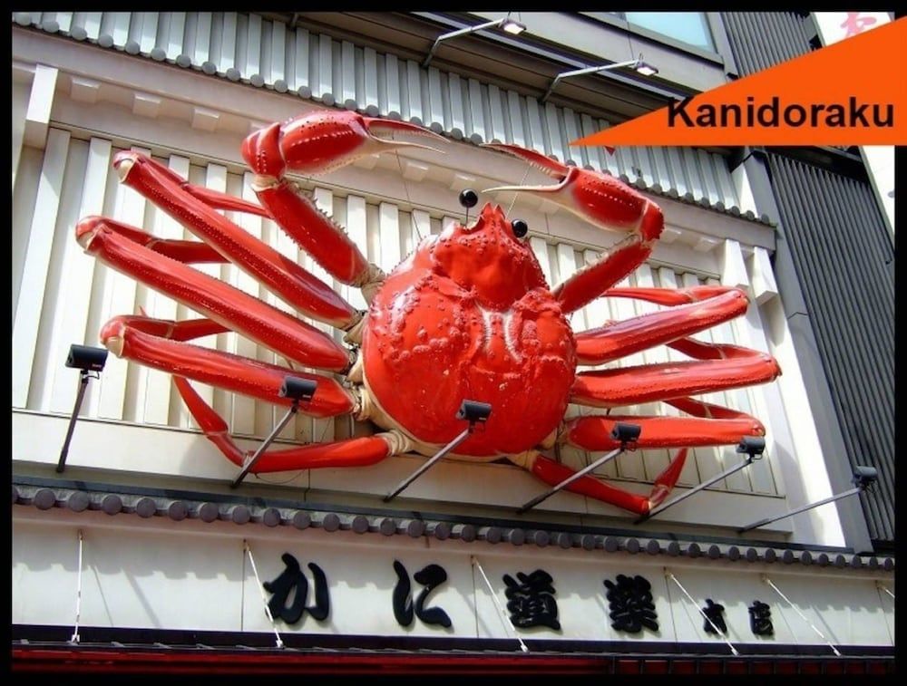 undefined City central studio Apartments 5