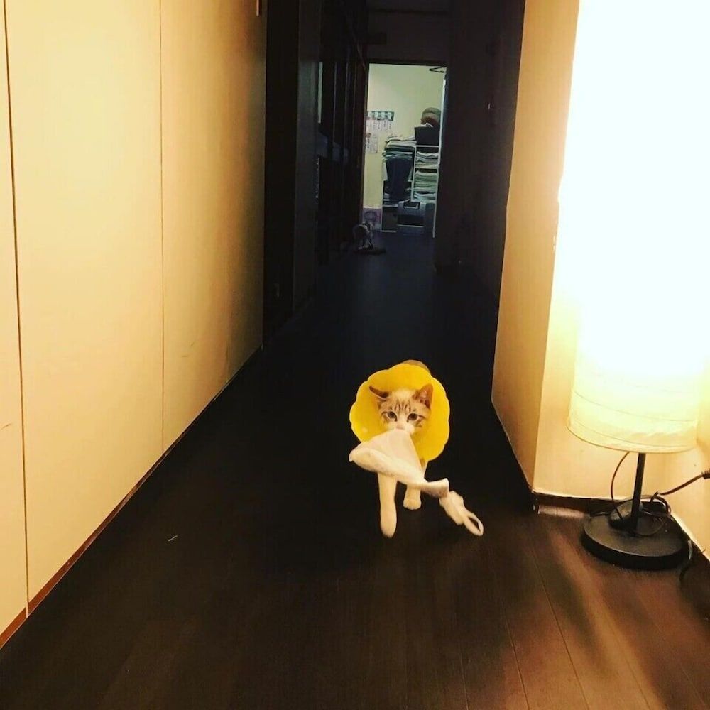 undefined Royal Home Dormitory - Hostel 6