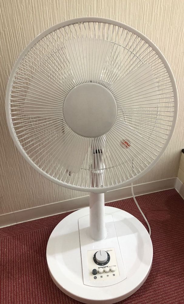 Fan