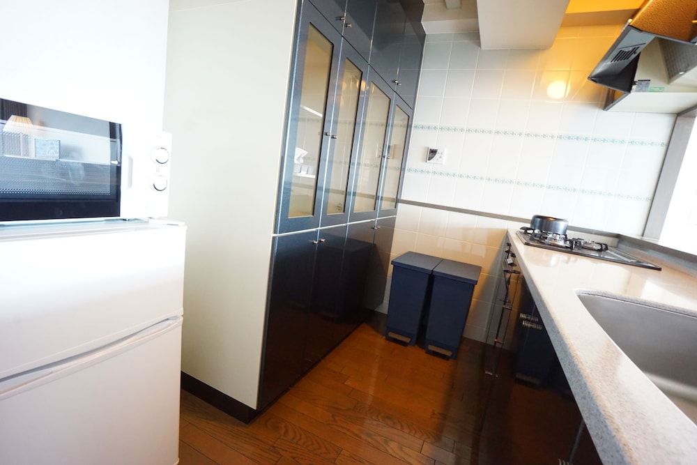 Terry's Apartment Shinsaibashi East I G11A Apartment 10