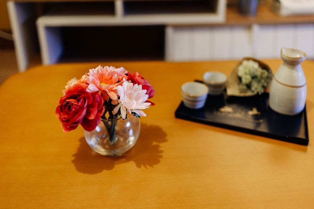 undefined Ace jack 21 Osaka 7