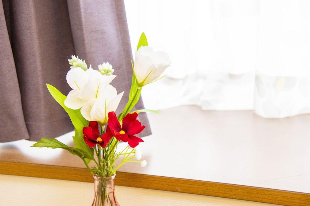 undefined Grande Shagi GS504 5